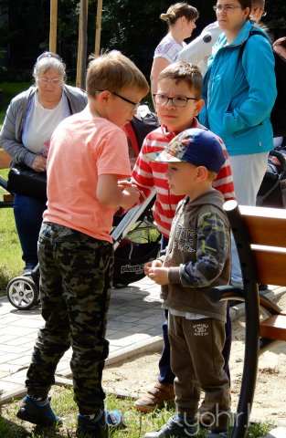 Életfát ültettünk 11